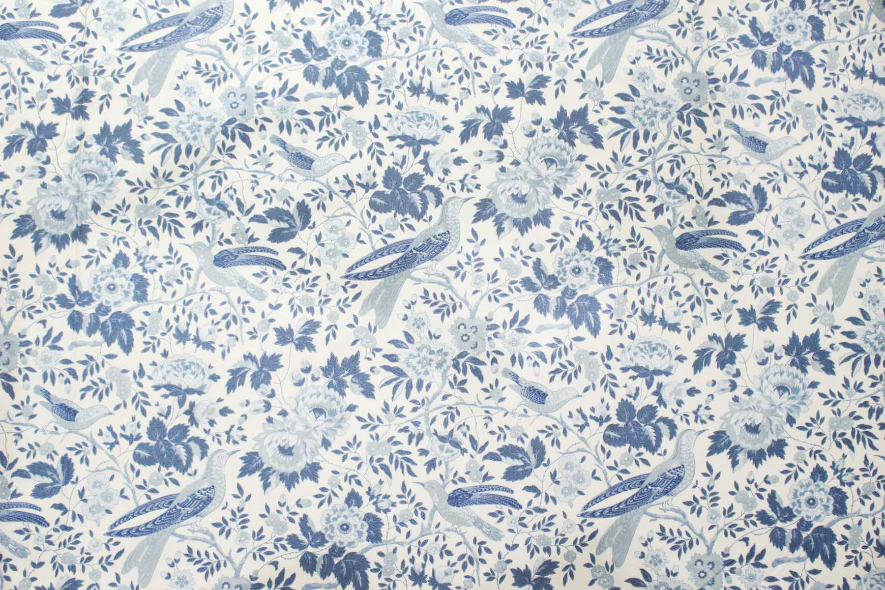 Jpi　Bleu De France　Valliere<br />パ-ル